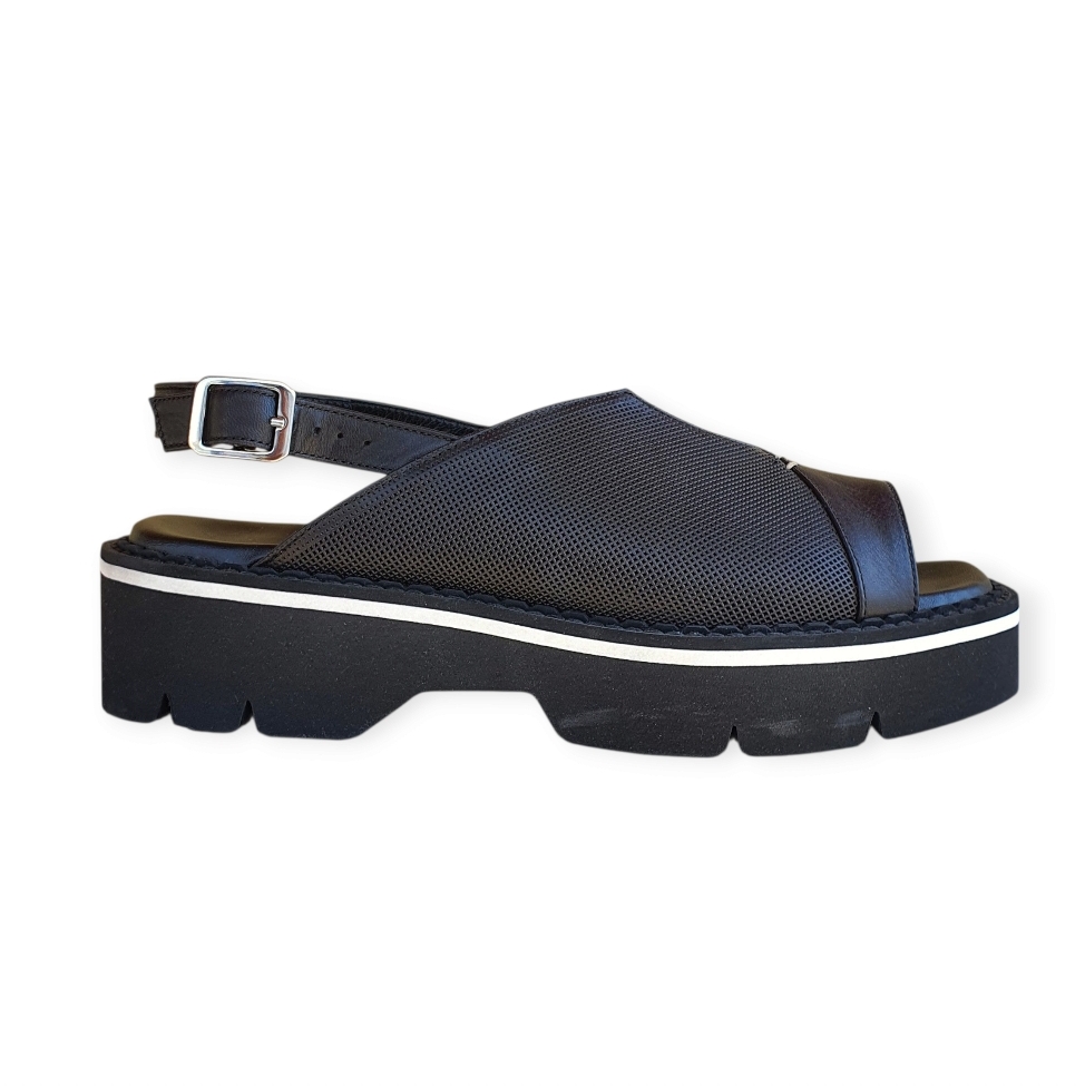 1740 Savanna nero-savanna nero